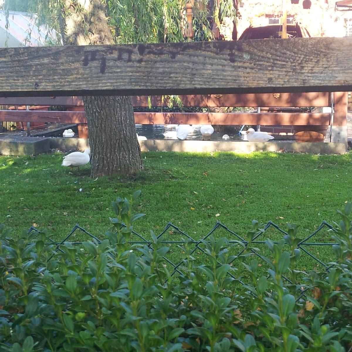 Restaurant "Monika Reinhardt Gaststätte Kleine Kneipe Partyservice" in  Auengrund