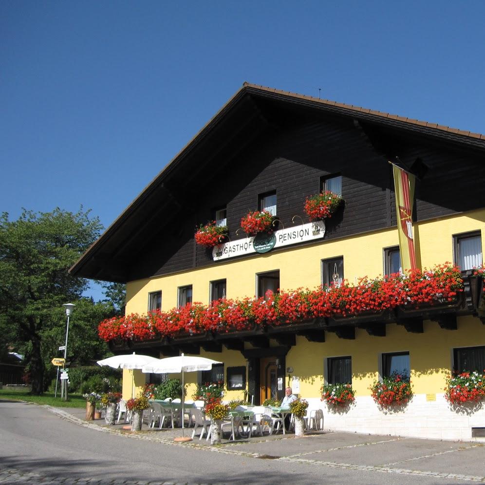 Restaurant "Pension Am Goldenen Steig" in  Haidmühle