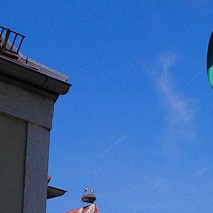 Restaurant "Bräustüberl" in  Burgheim