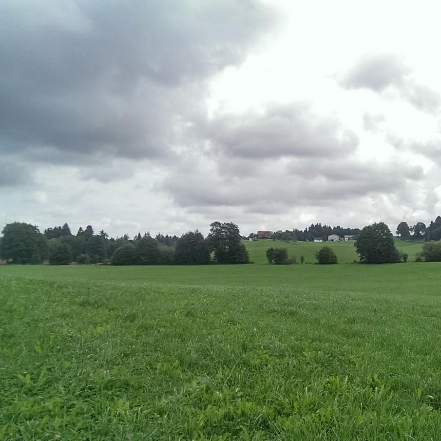 Restaurant "Pizza Staro" in  (Bodensee)