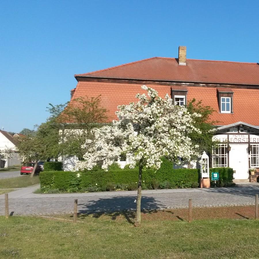 Restaurant "Hotel und Restaurant Alte Försterei Kloster Zinna" in Jüterbog, OT Kloster Zinna