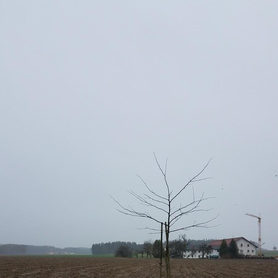 Restaurant "Franz Scheitzeneder" in  Engelsberg