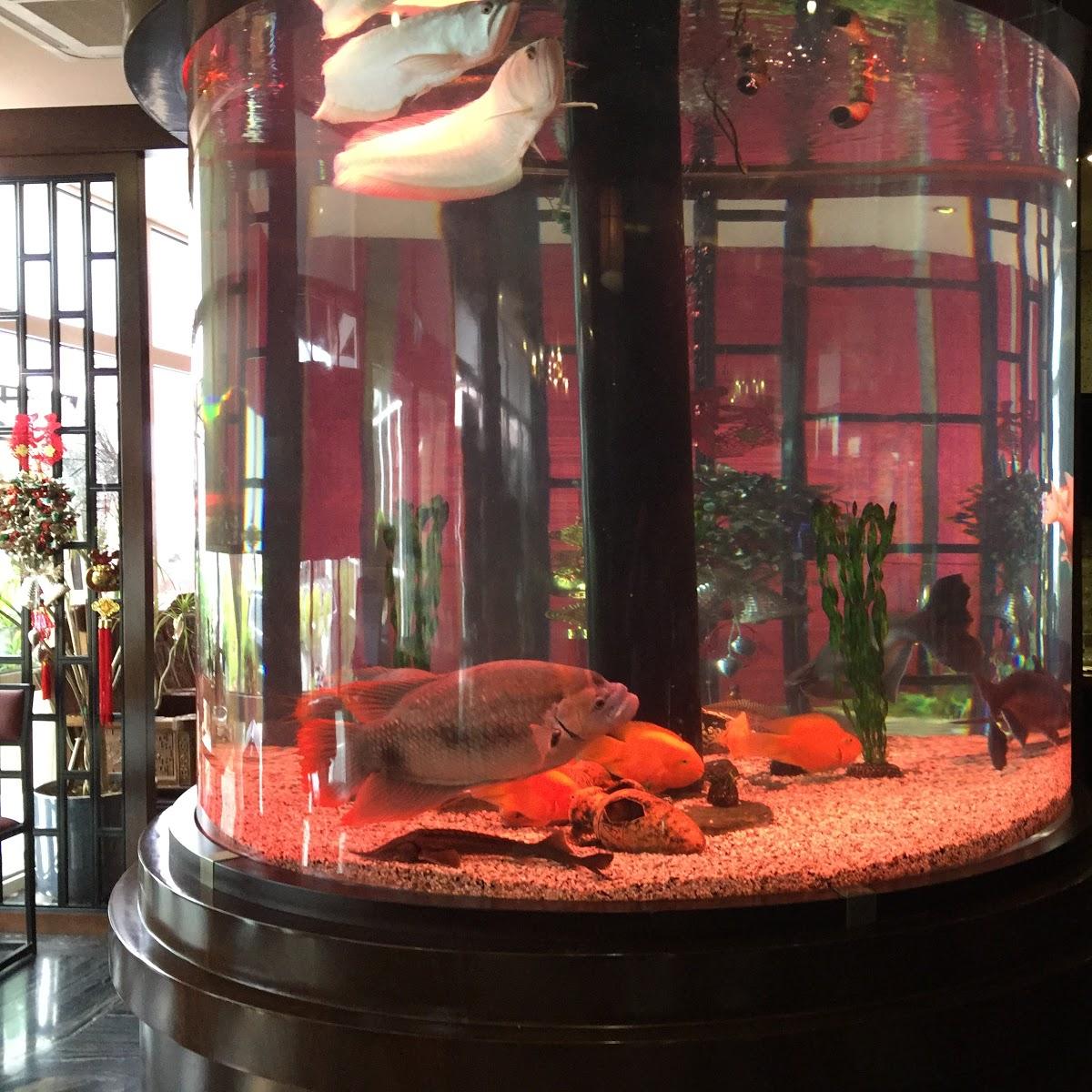 Restaurant "Dschingis Khan" in Siegen