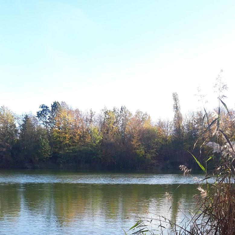 Restaurant "Westhafen" in Leipzig
