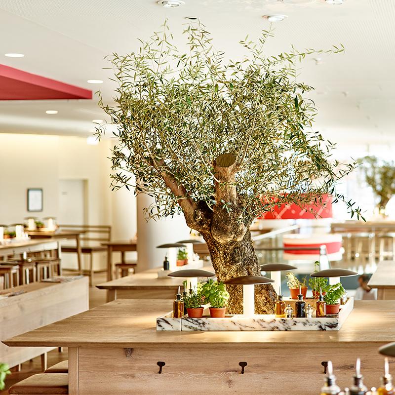 Restaurant "VAPIANO  Mediapark" in Köln