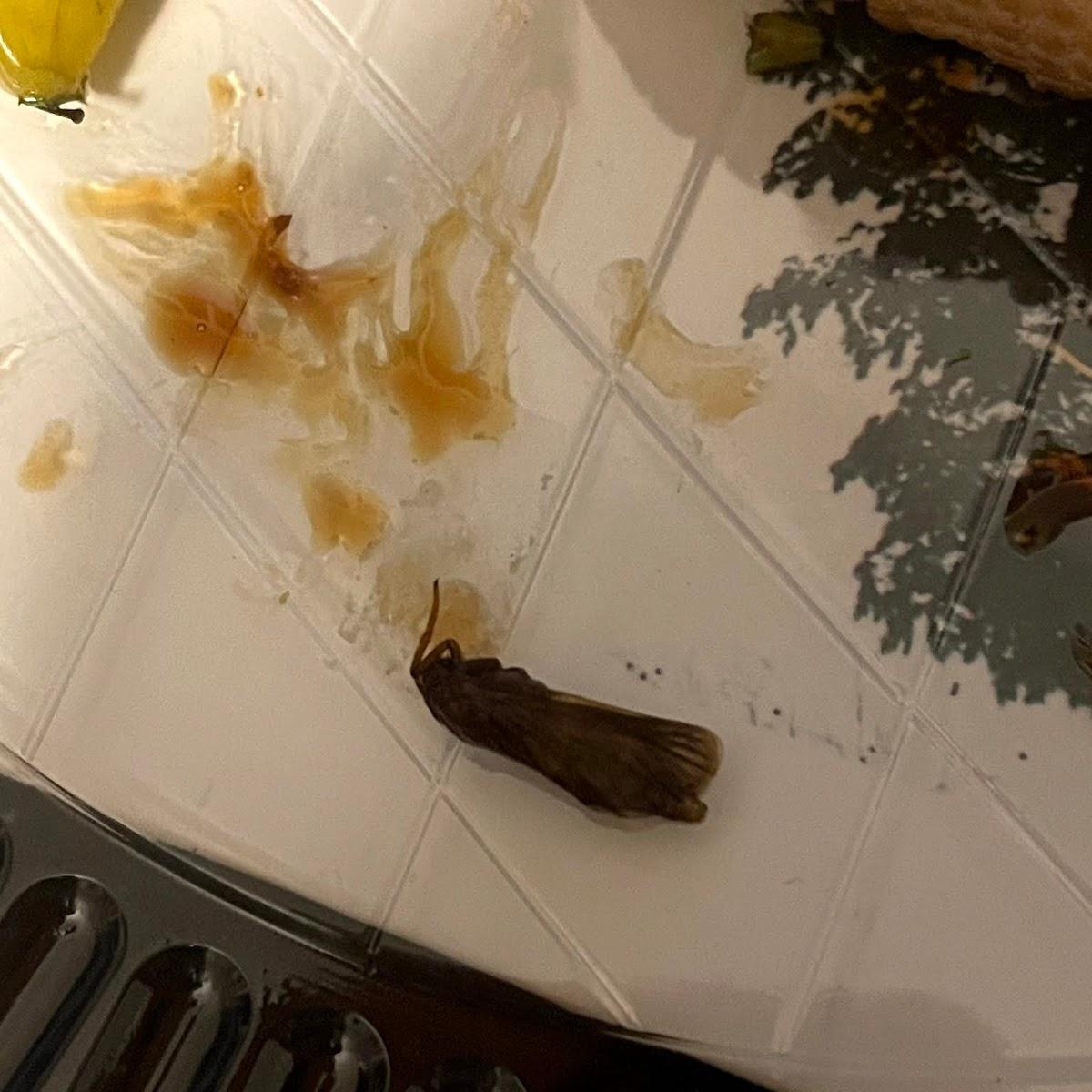 Restaurant "Halbzeit" in Bonn