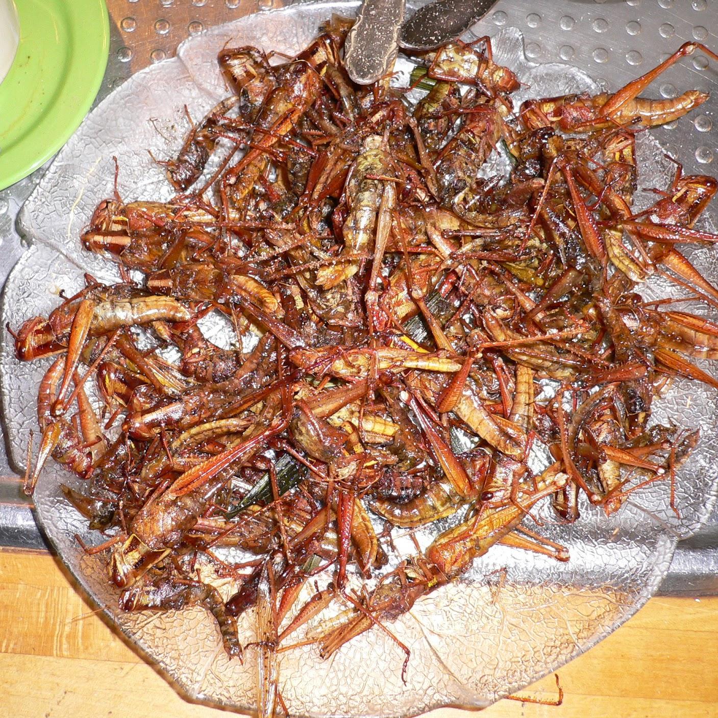 Restaurant "Pizza Day Night" in Freiburg im Breisgau