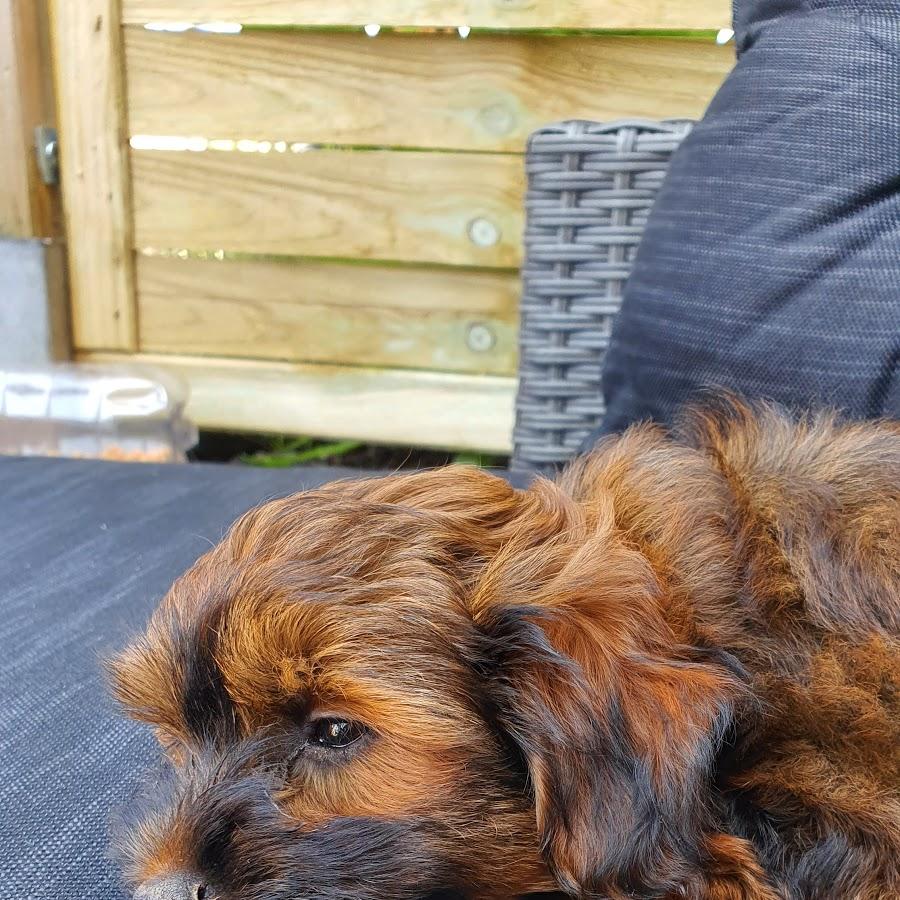 Restaurant "BLANK ECK STRANDKüCHE" in Gremersdorf