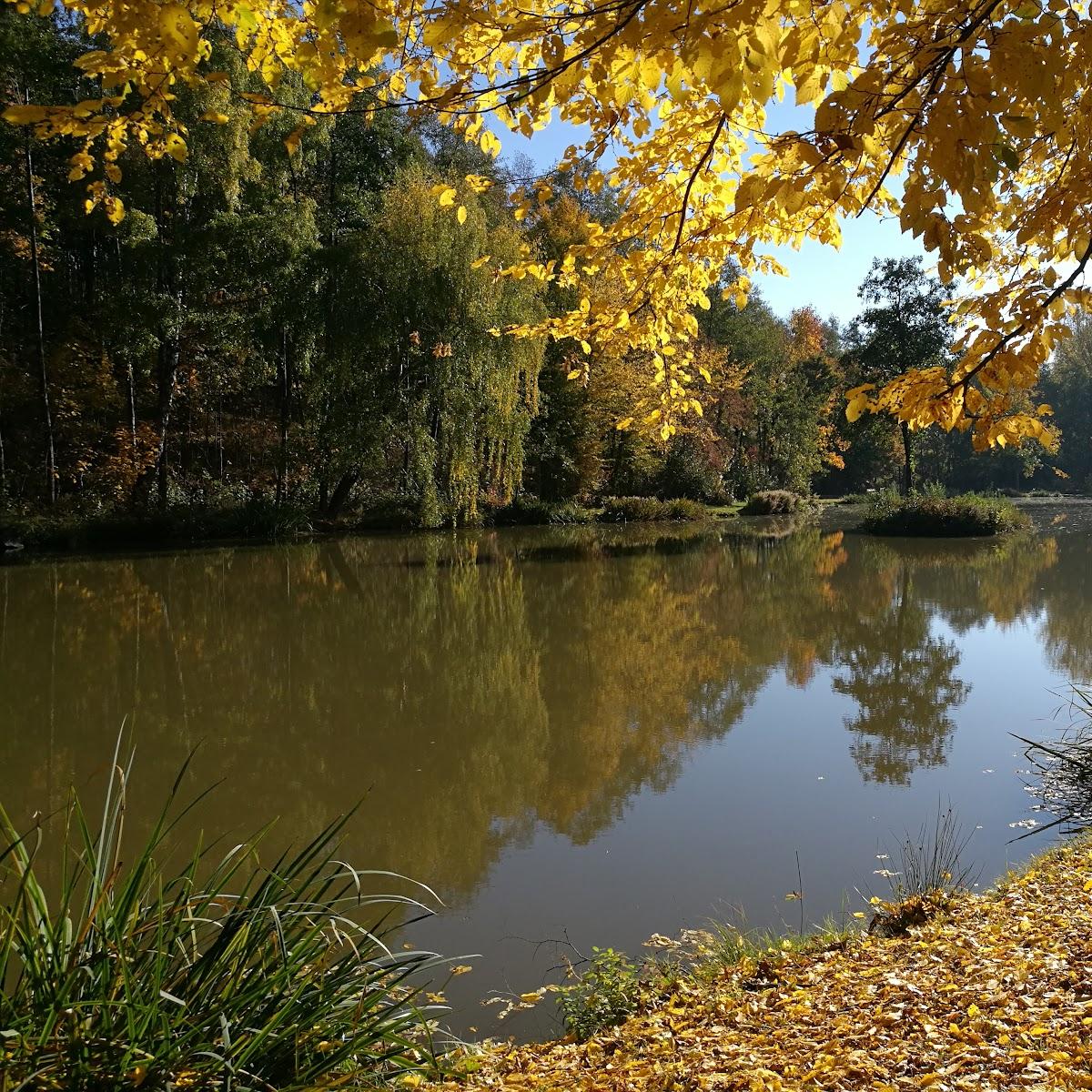 Restaurant "Angeloase Weddelsee" in Medebach