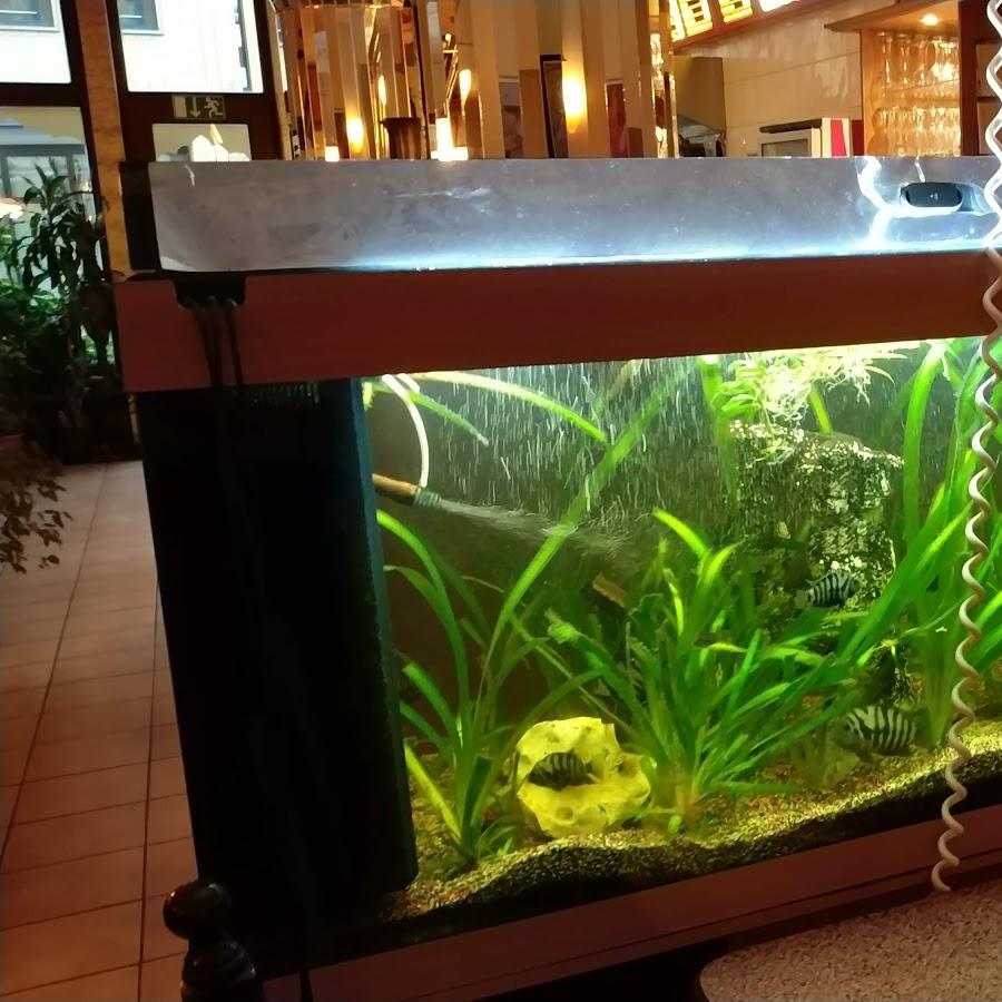 Restaurant "Restaurant Calimero" in Freital