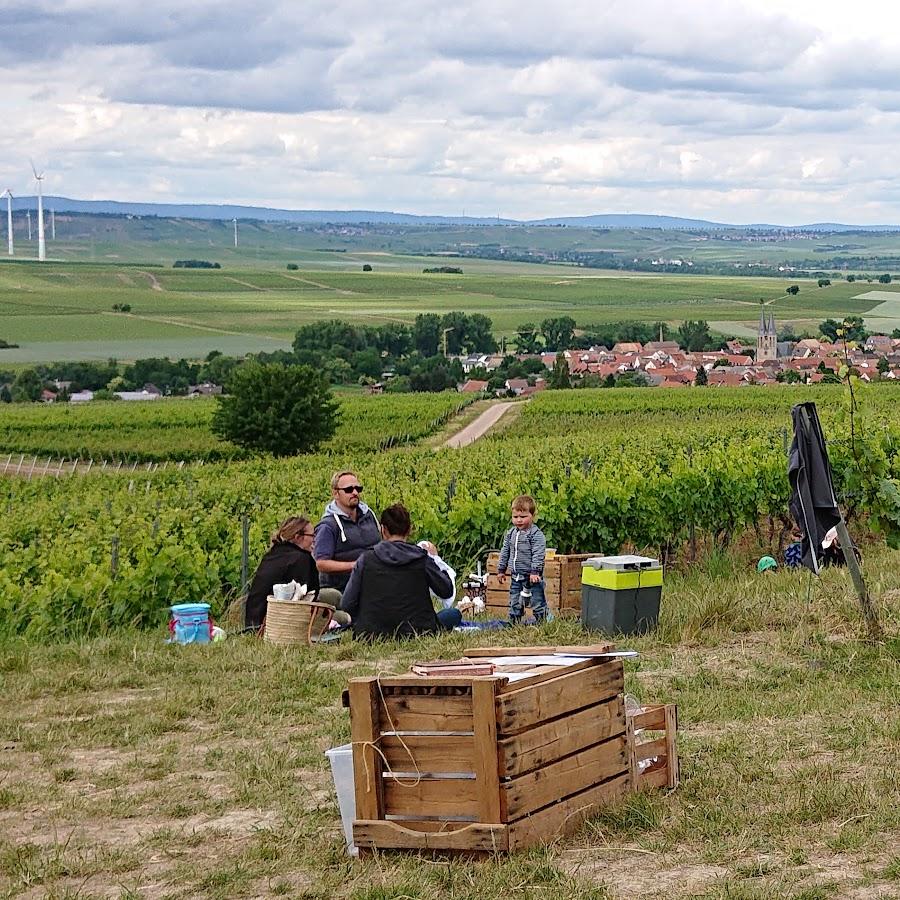Restaurant "Gutsschänke Aulheimer Mühle" in  Erbes-Büdesheim
