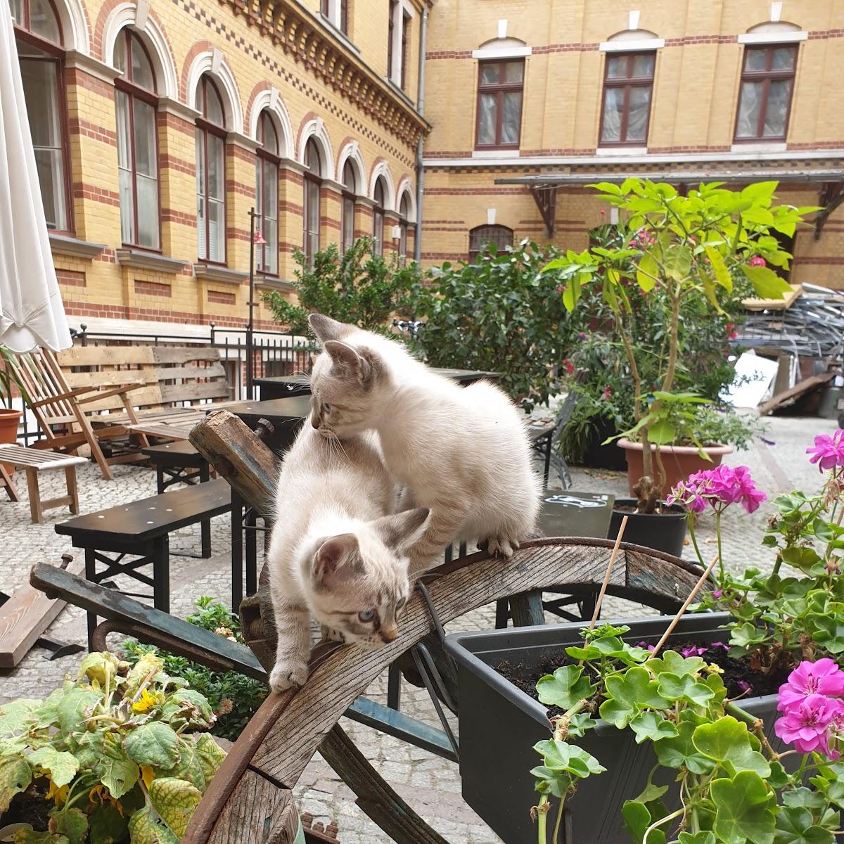 Restaurant "Gwuni Mopera" in Leipzig
