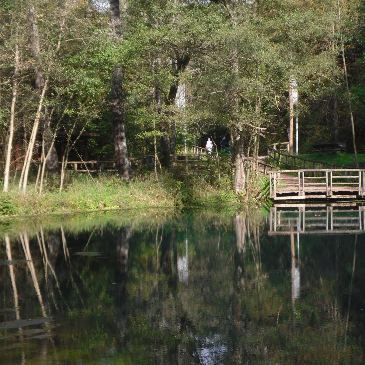 Restaurant "Die Quelle" in  Rhumspringe