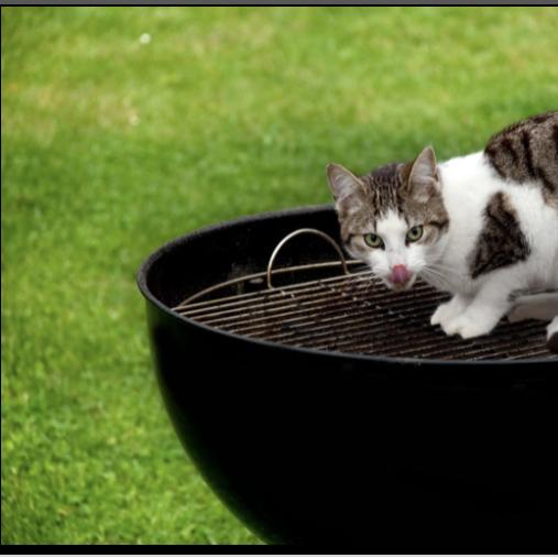 Restaurant "M&B Döner Pizza" in Werdohl