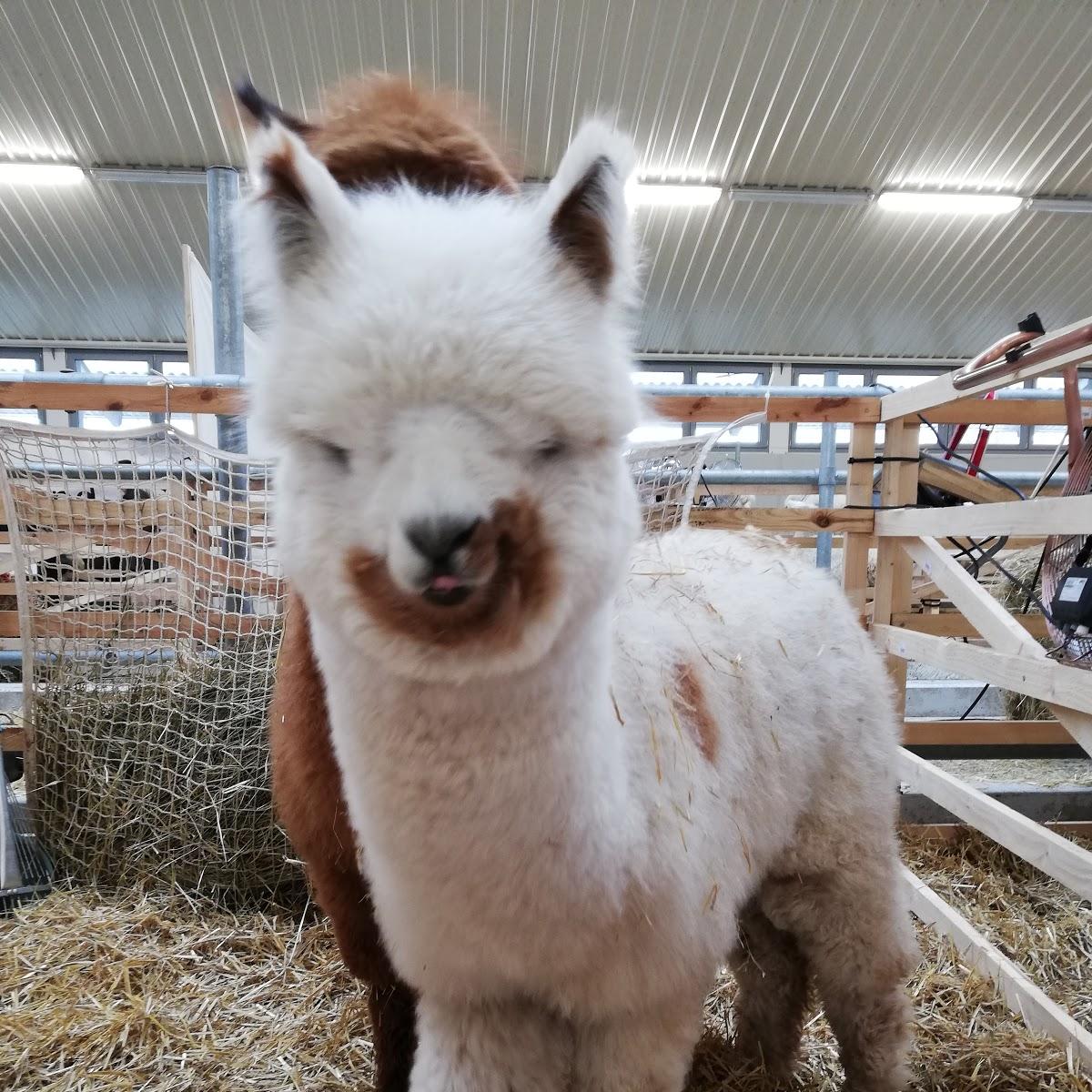 Restaurant "Tierzuchtklause" in  Bayreuth