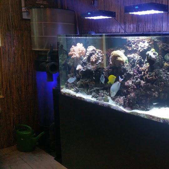 Restaurant "Bergischer Grill" in Wuppertal