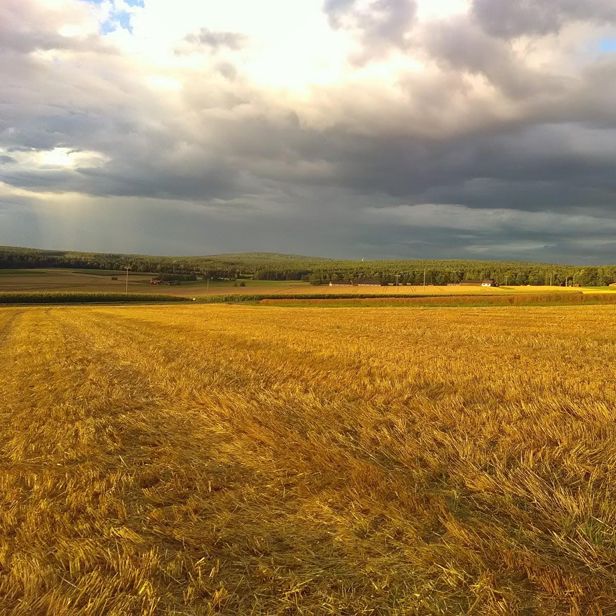 Restaurant "Gaststätte Lang" in  Konnersreuth