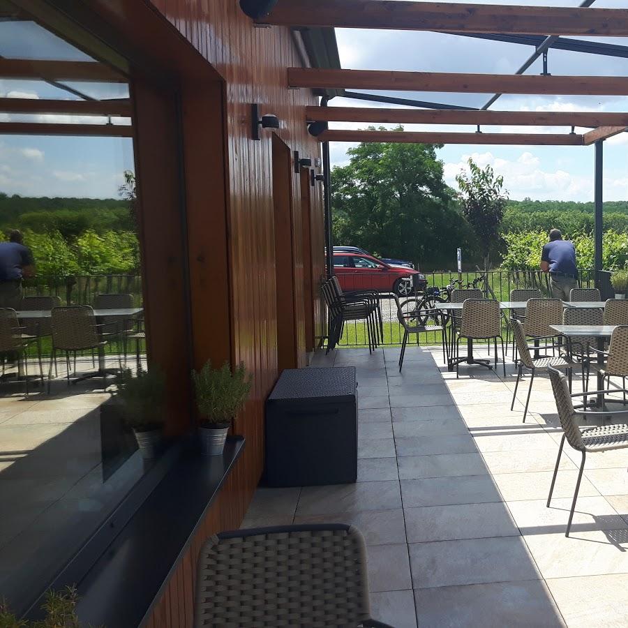 Restaurant "Weinterrasse  - Kellner & Hermann GmbH" in Pulkau