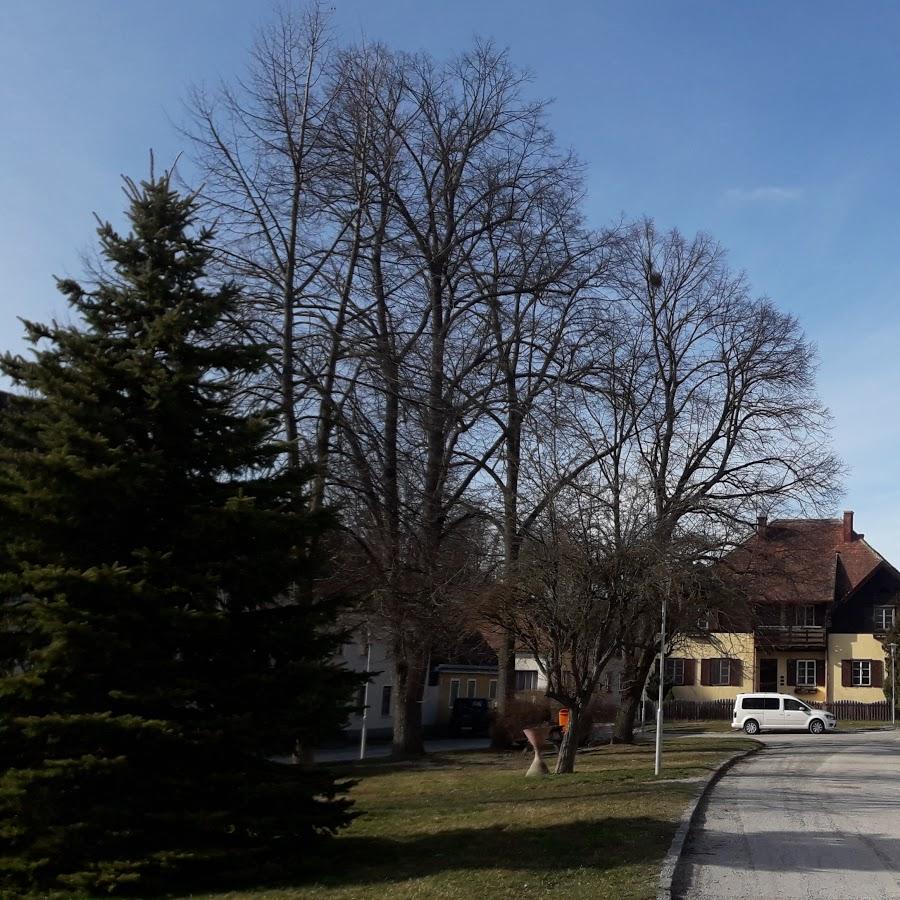 Restaurant "Gasthaus Irschik" in Weikertschlag an der Thaya