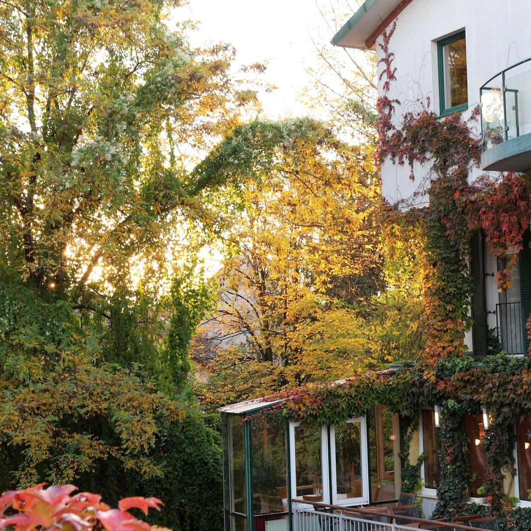 Restaurant "Hotel Klaus im Weinviertel" in Wolkersdorf im Weinviertel