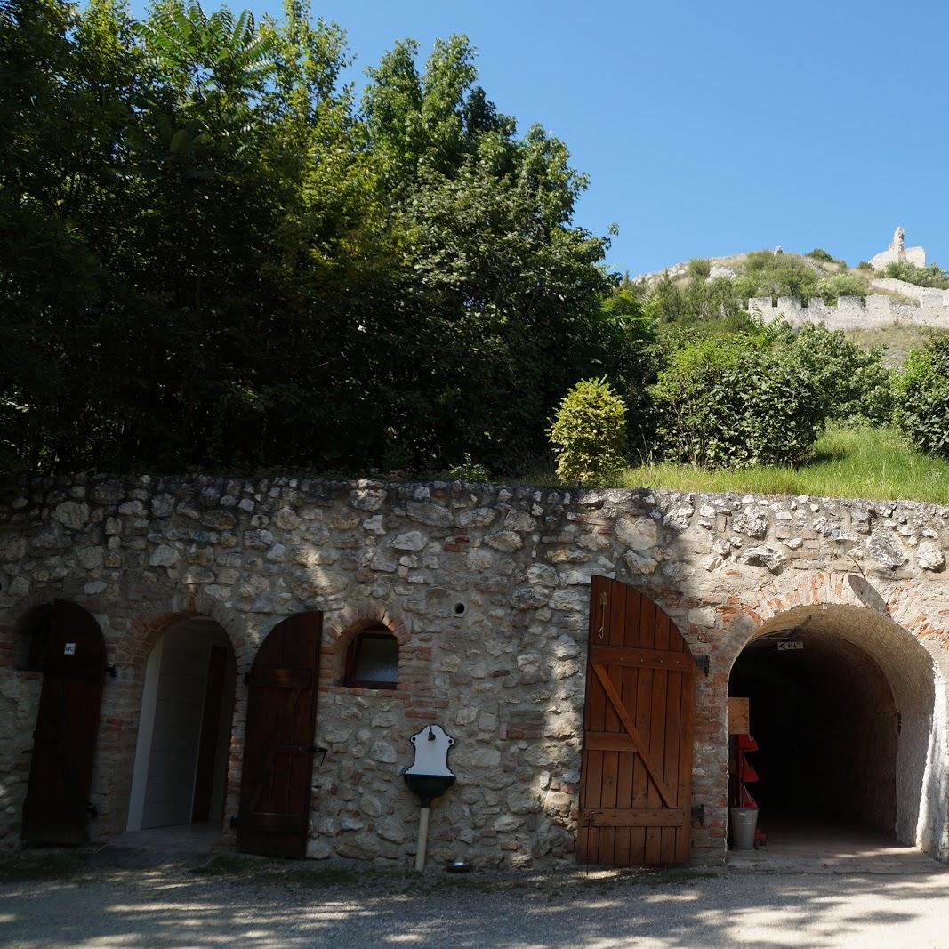 Restaurant "Schlosskeller Staatz" in Staatz-Kautendorf