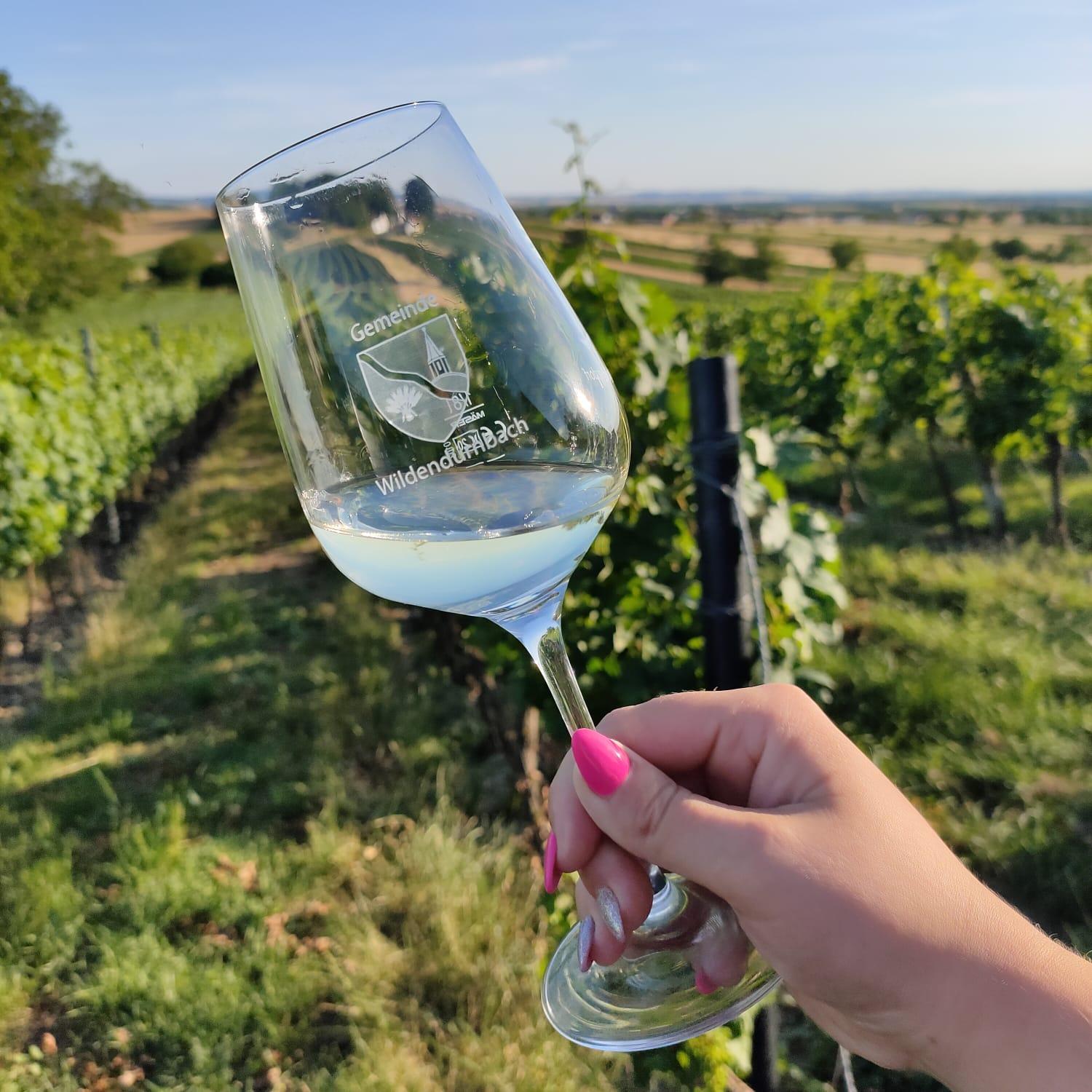 Restaurant "Kellergasse" in Wildendürnbach