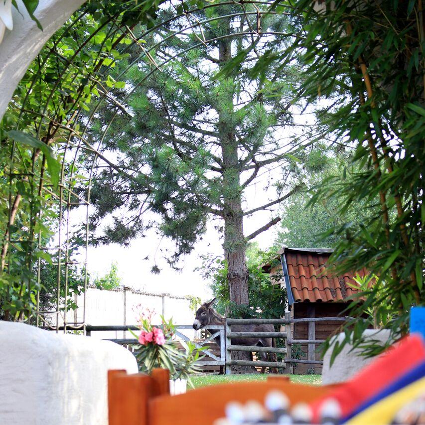 Restaurant "LA HACIENDA im Weinviertel - Vicky & Barbaras  Nueva cocina mexicana " in Wilfersdorf