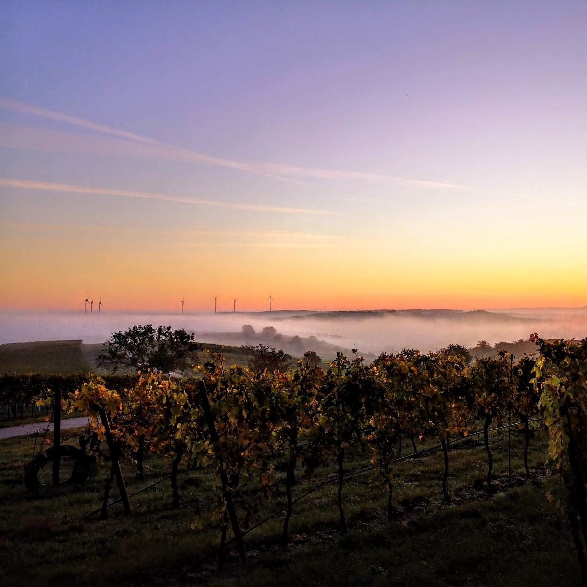 Restaurant "Weingut Klaus Huber" in Hauskirchen