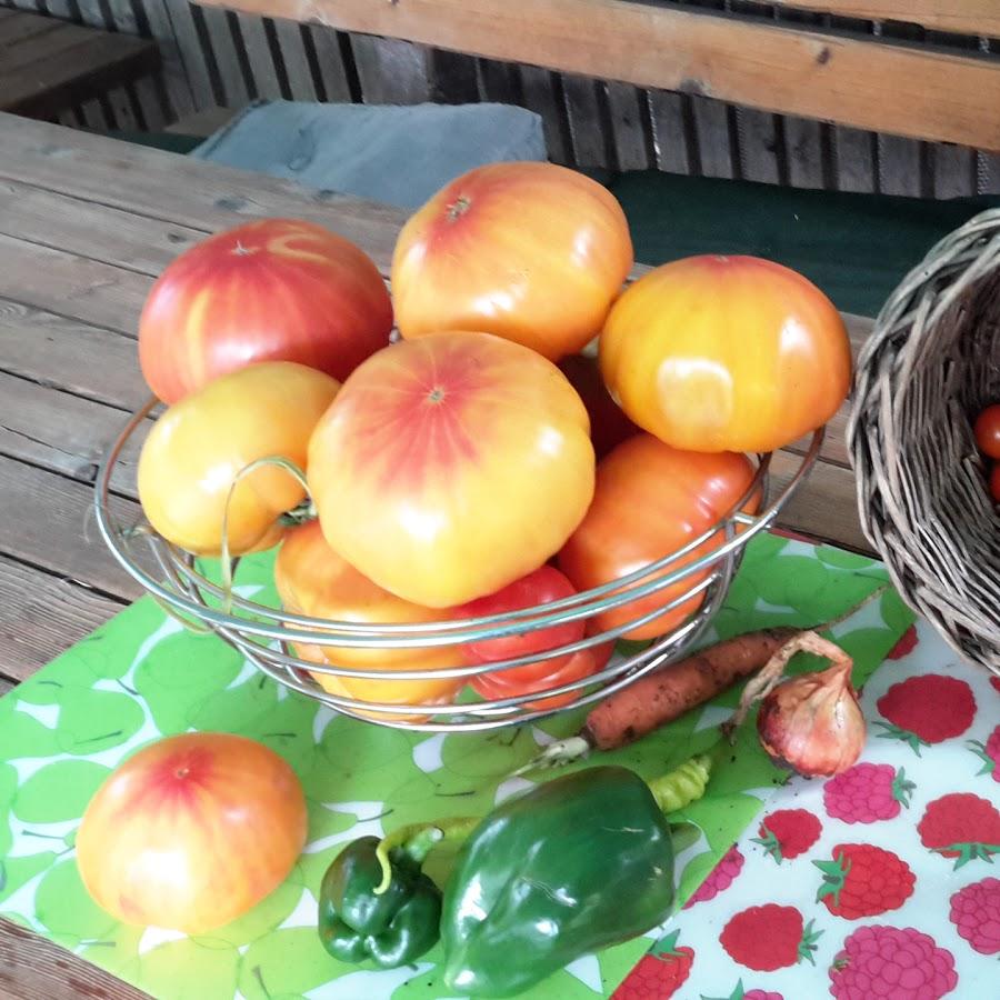 Restaurant "Augsberger Ges.mbH" in Fischamend