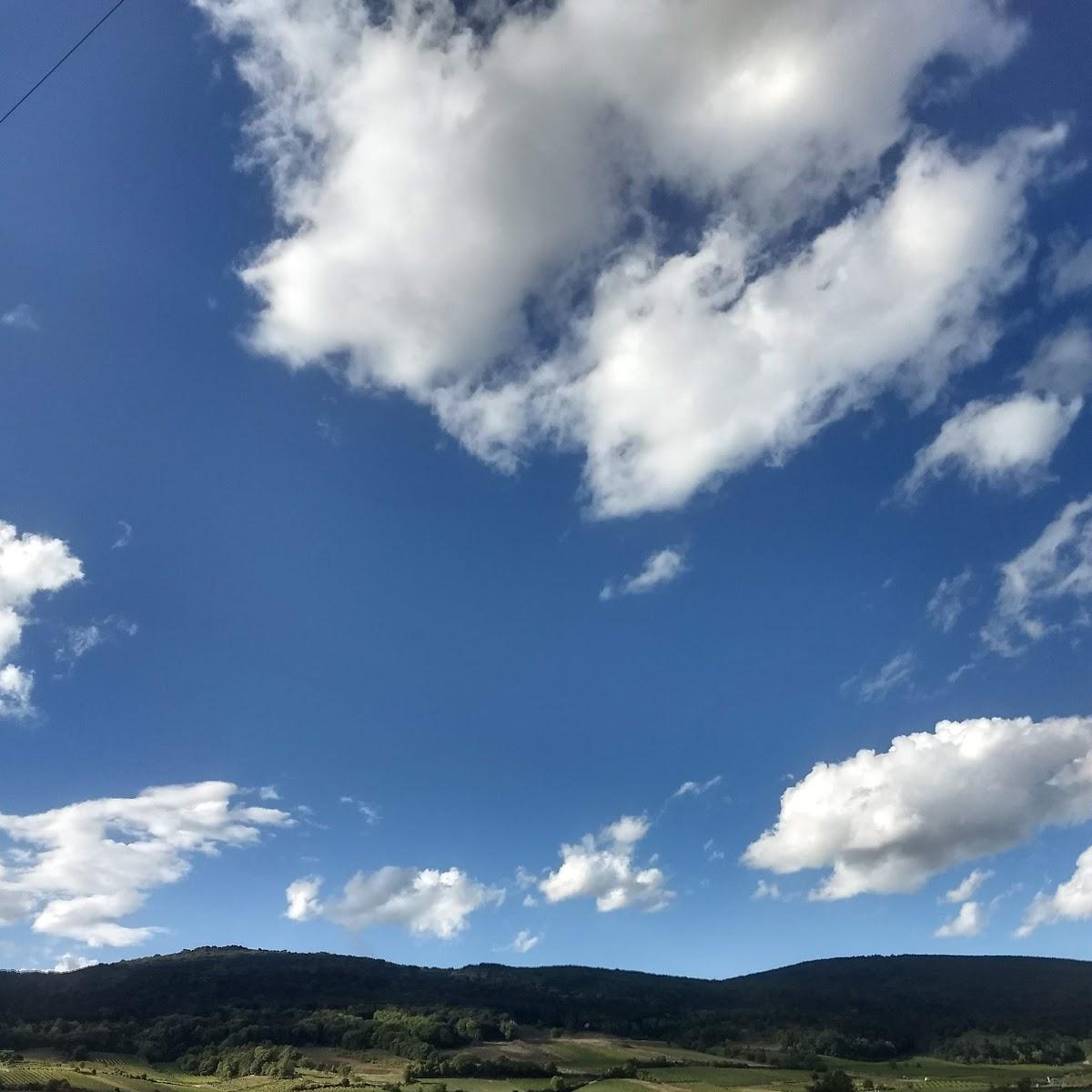 Restaurant "Heuriger Skrianz" in Traiskirchen