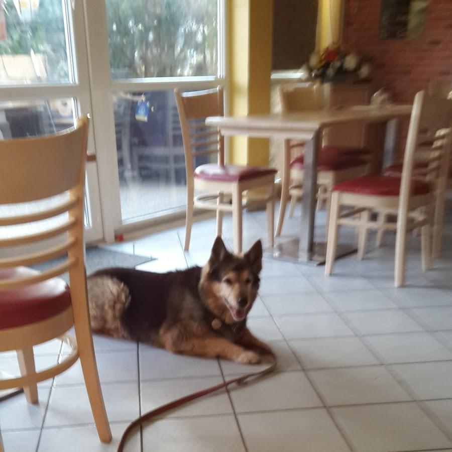 Restaurant "Die Dorfstube" in Teesdorf