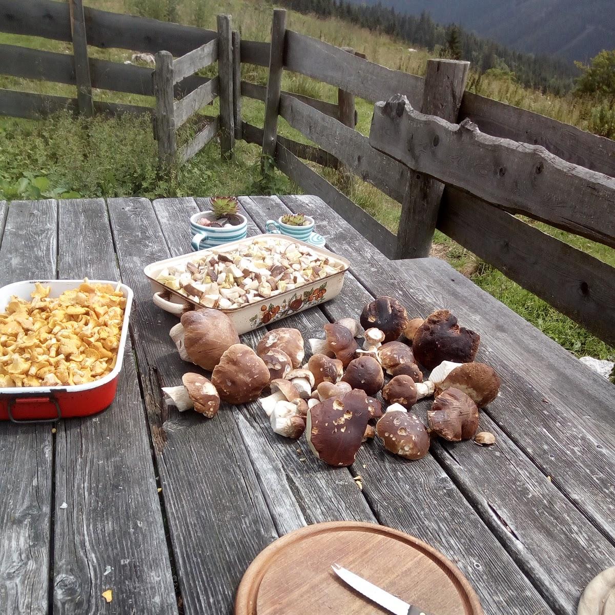 Restaurant "Wildalmhütte" in Puchberg am Schneeberg