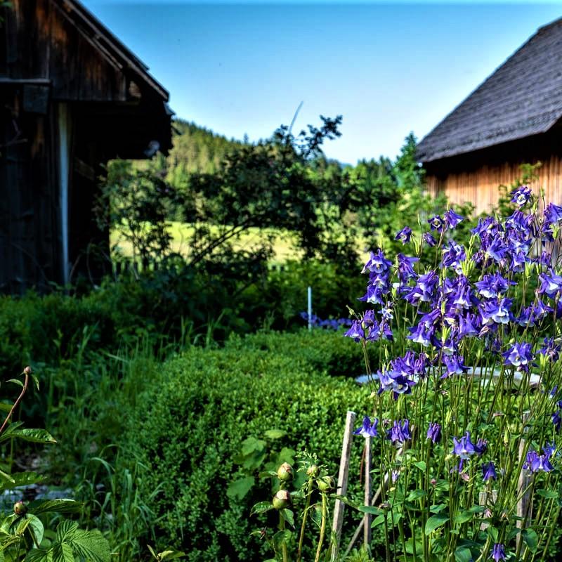 Restaurant "Höblinghof" in Schwarzau im Gebirge