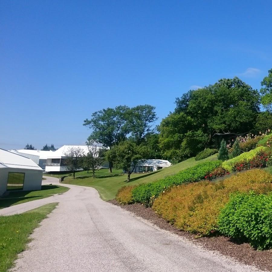 Restaurant "Greenwell GmbH" in Stollhof