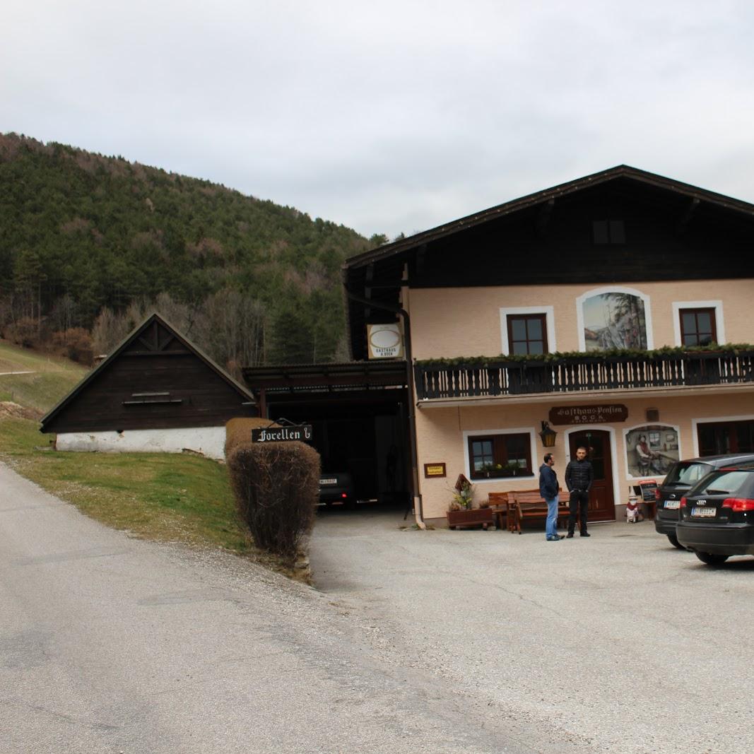 Restaurant "Gasthaus Bock" in Puchberg am Schneeberg
