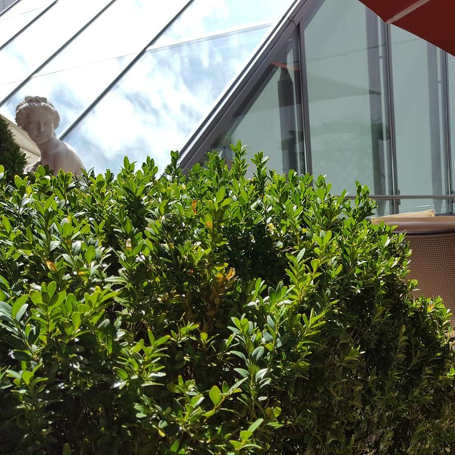 Restaurant "Restaurant Marathon" in  Frankenthal