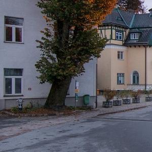 Restaurant "Herwig Dorfstetter" in Mönichkirchen