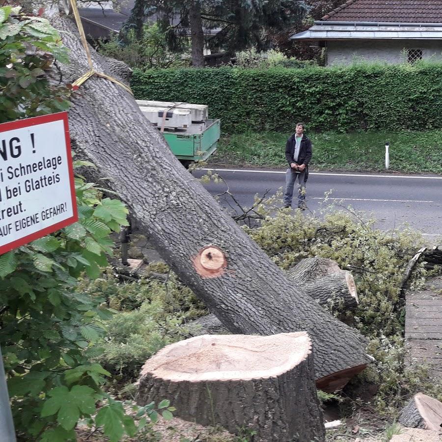 Restaurant "E. Schoberegger GmbH" in Eichgraben