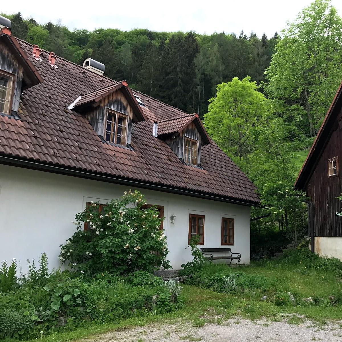 Restaurant "Steinschaler Zünftiges & Vernünftiges" in Frankenfels