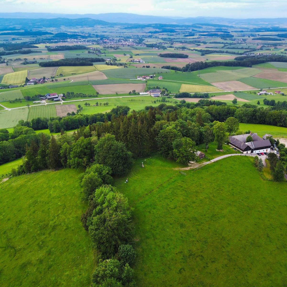 Restaurant "Almgasthaus" in Kirnberg an der Mank