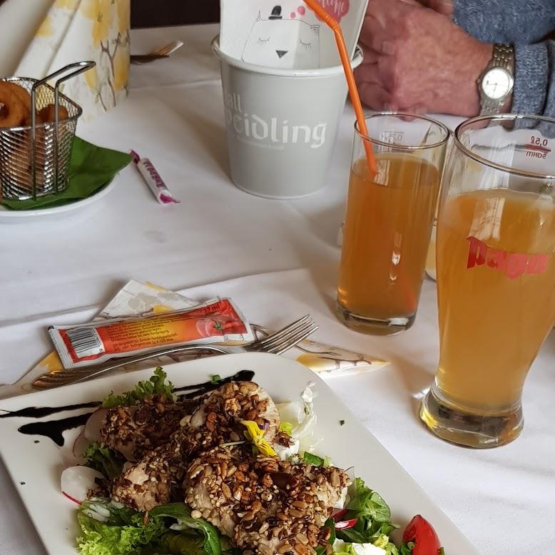 Restaurant "hof" in Schliefau