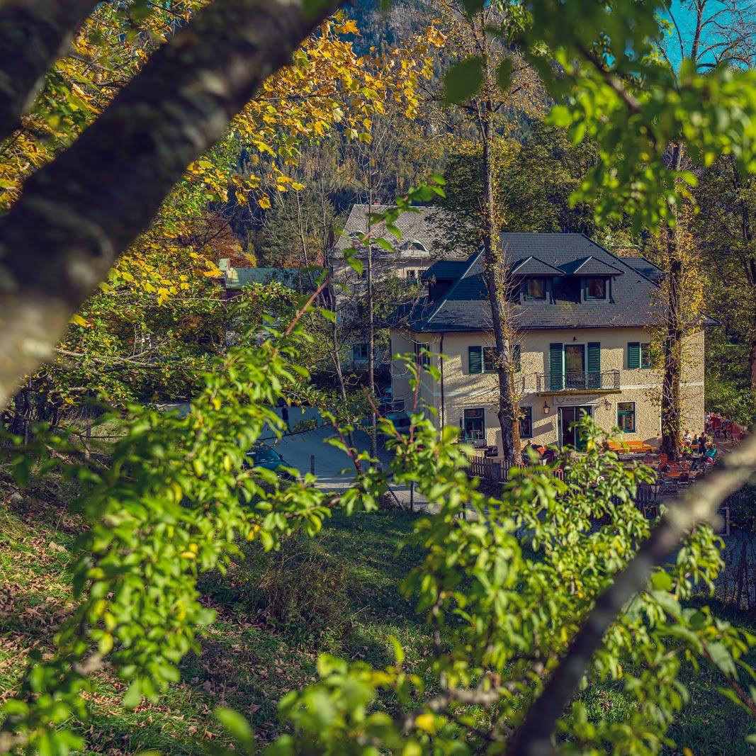 Restaurant "Schlosstaverne" in Lunz am See