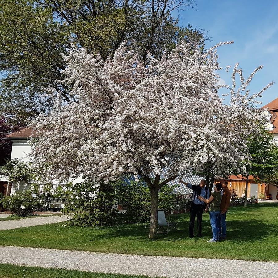 Restaurant "Christiana Wieser" in Seitenstetten
