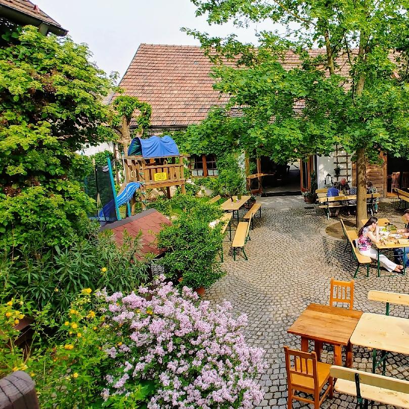 Restaurant "Weingut & Buschenschank Goll" in Hausleiten