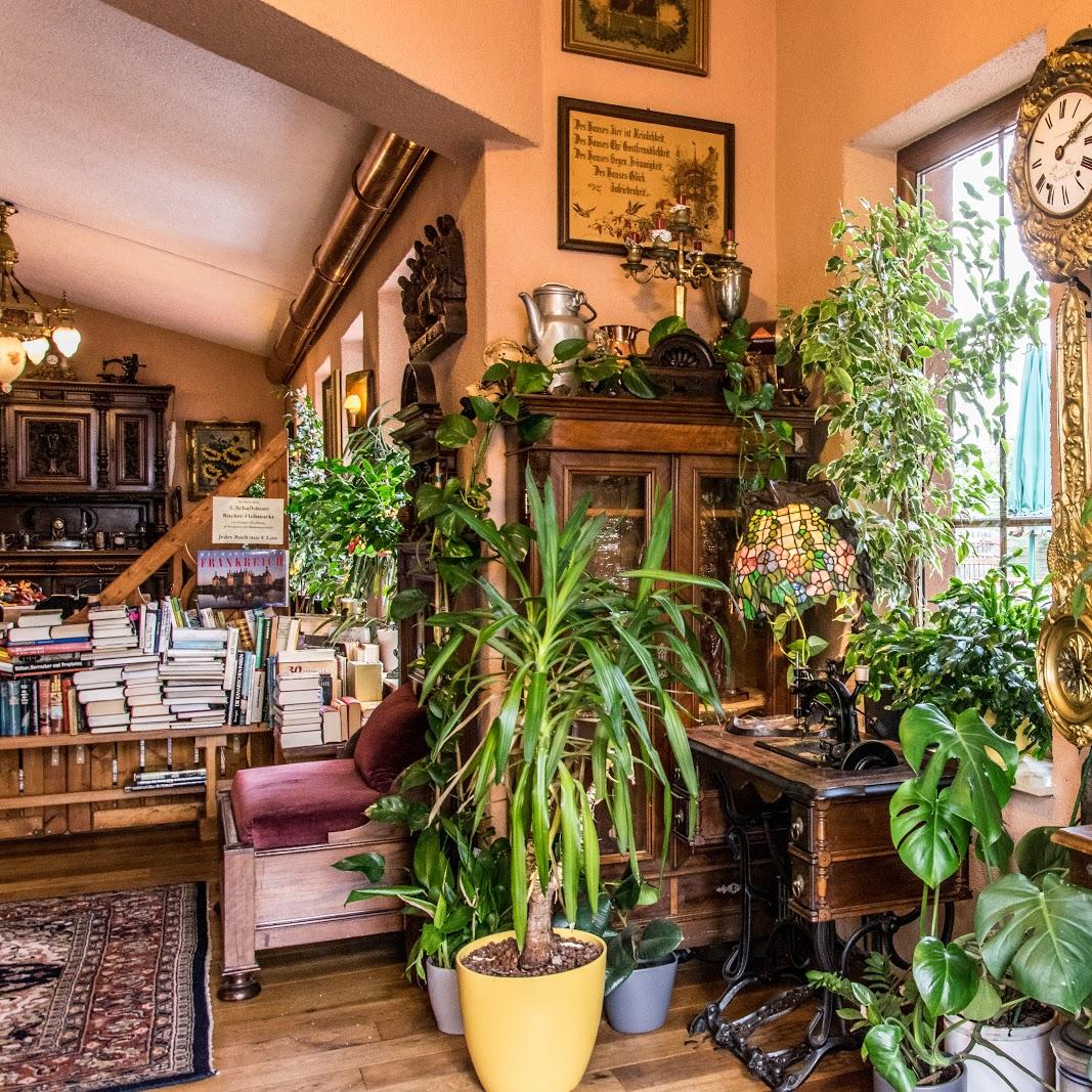 Restaurant "Museumsschänke" in Alzey