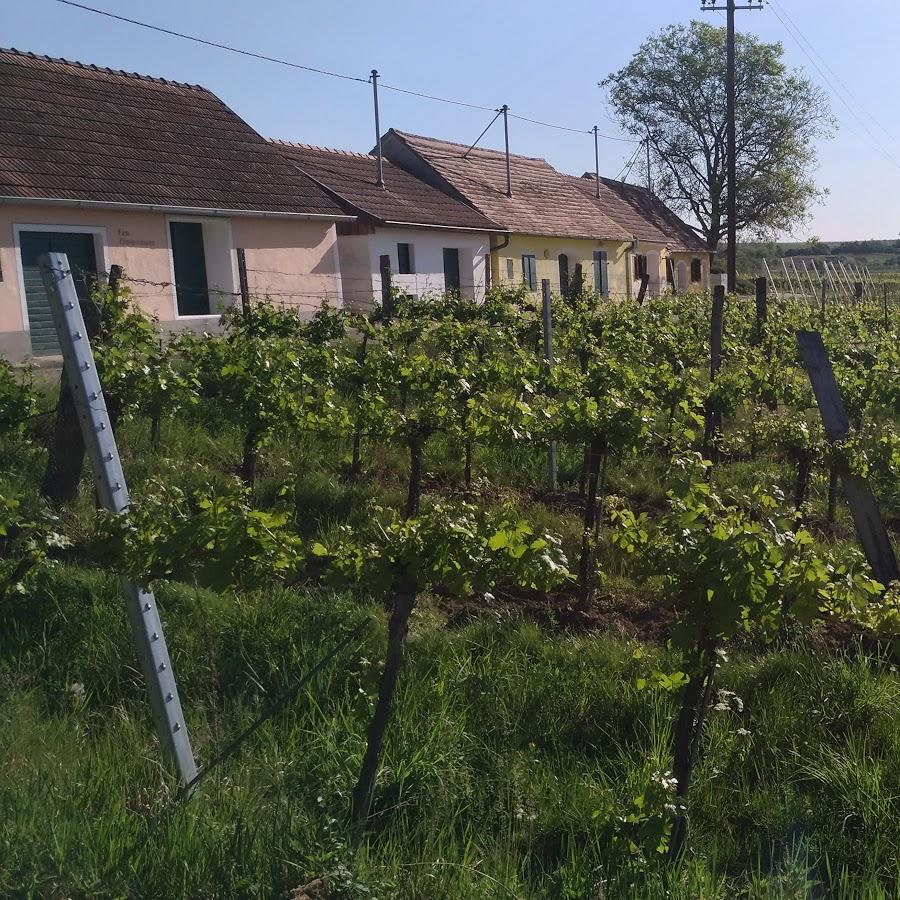 Restaurant "WORA ( Weingutes }" in Grafenwörth