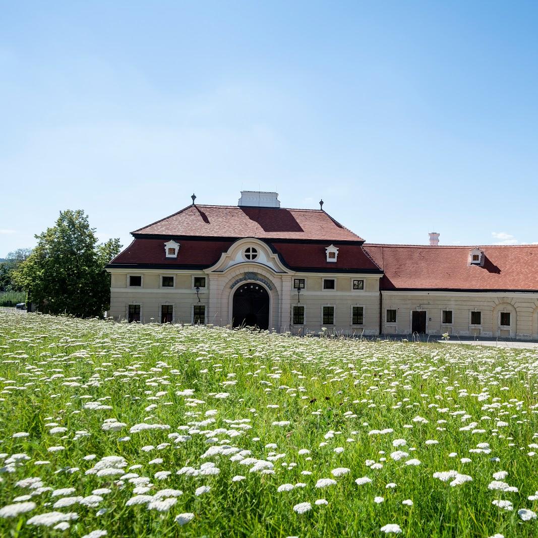 Restaurant "Gästehaus Benediktinerstift Göttweig" in Furth bei Göttweig