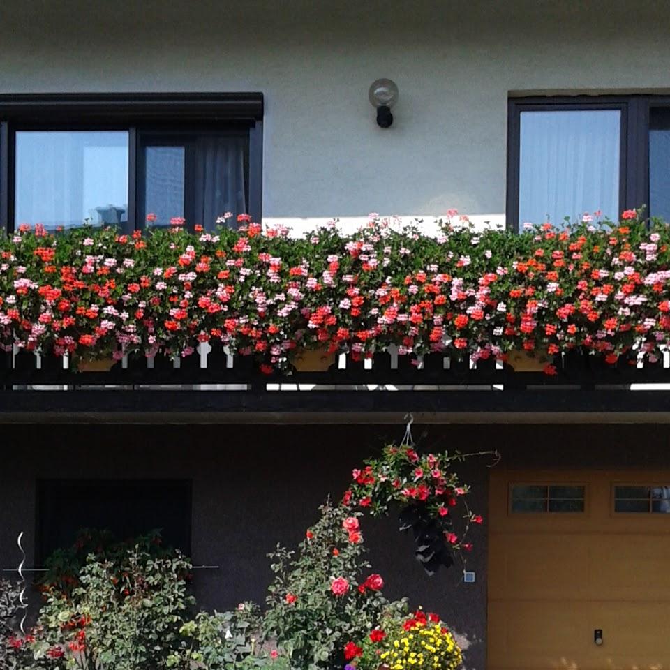 Restaurant "Nightlife-Garage" in Rastenfeld