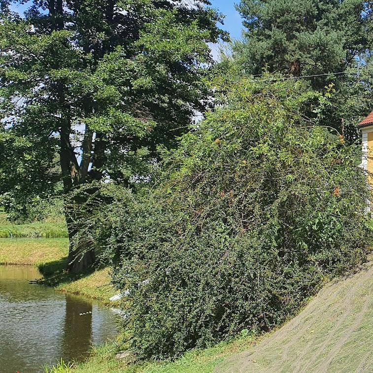 Restaurant "Fischereibetrieb Brunner" in Gföhl