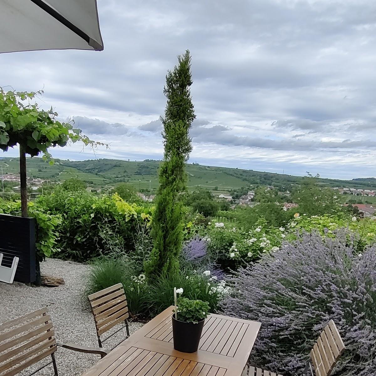 Restaurant "Heuriger Steinschaden" in Langenlois